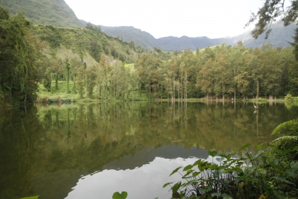 Etang poule d'eau